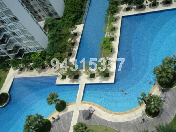 The Sea View (D15), Condominium #84559452